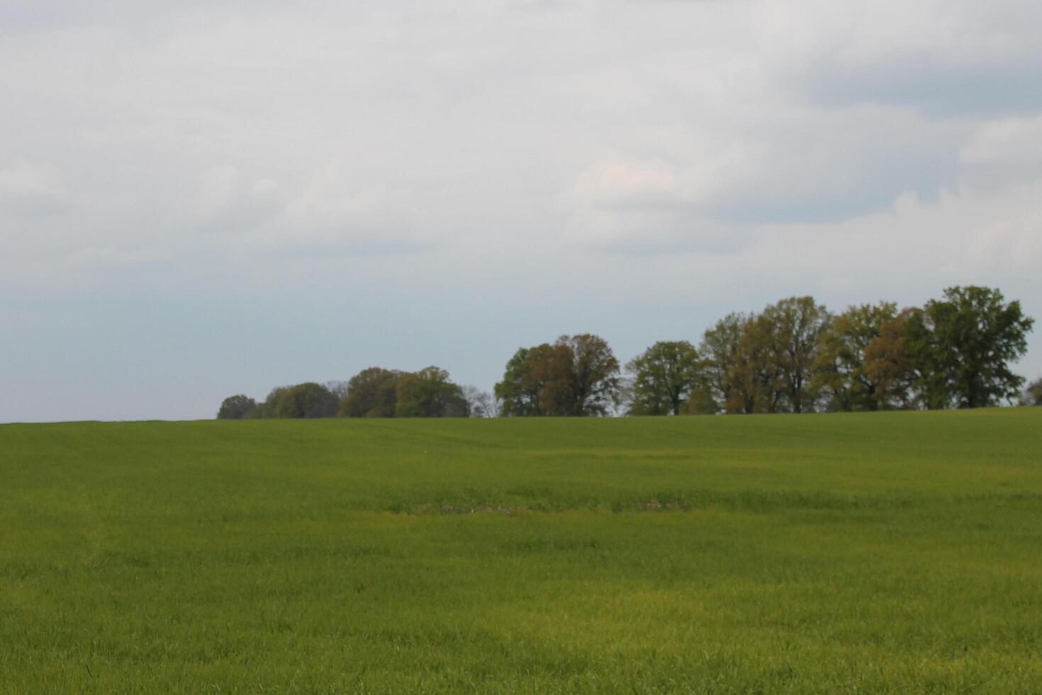 nature landscape photo