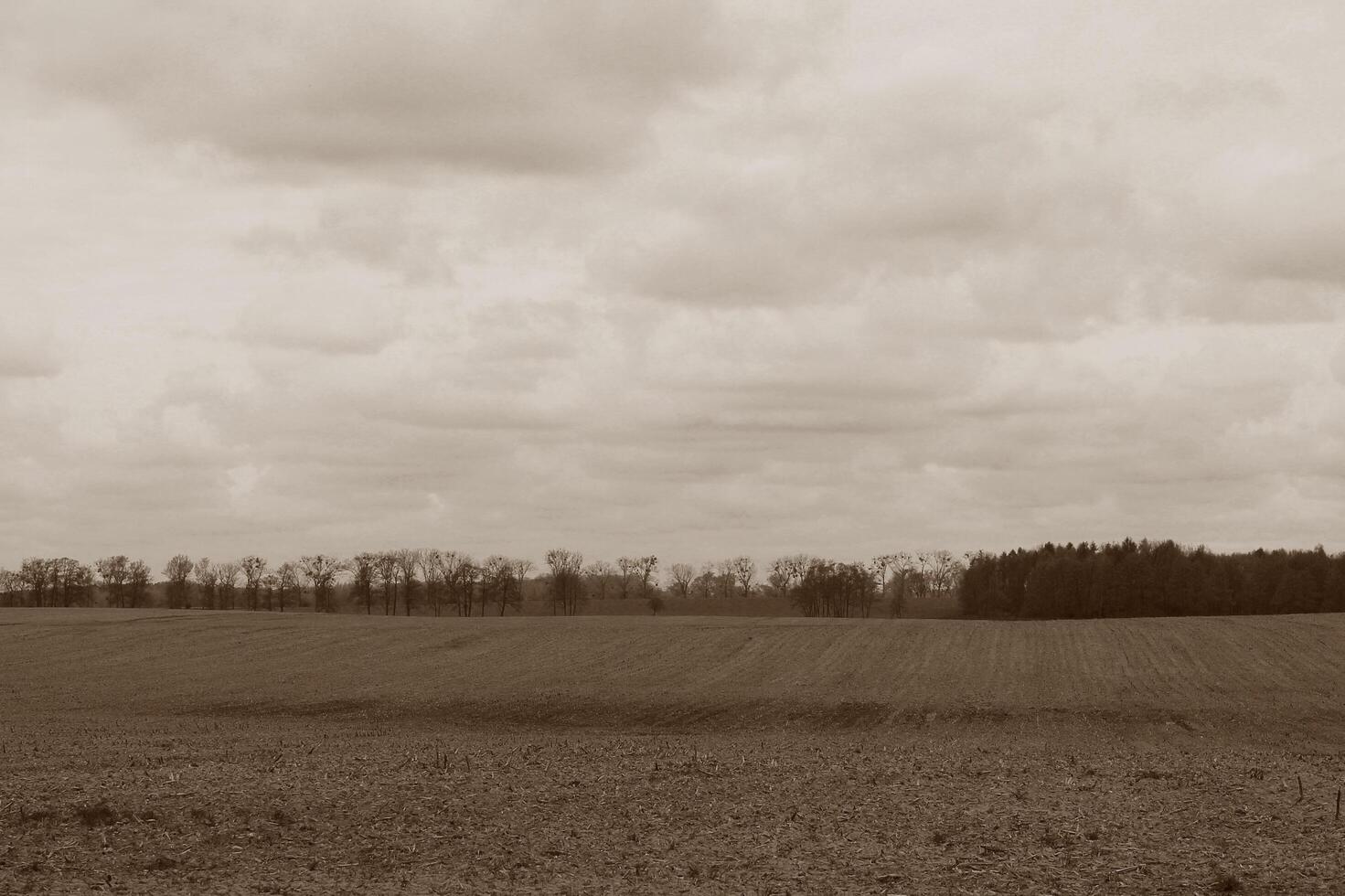 nature landscape photo