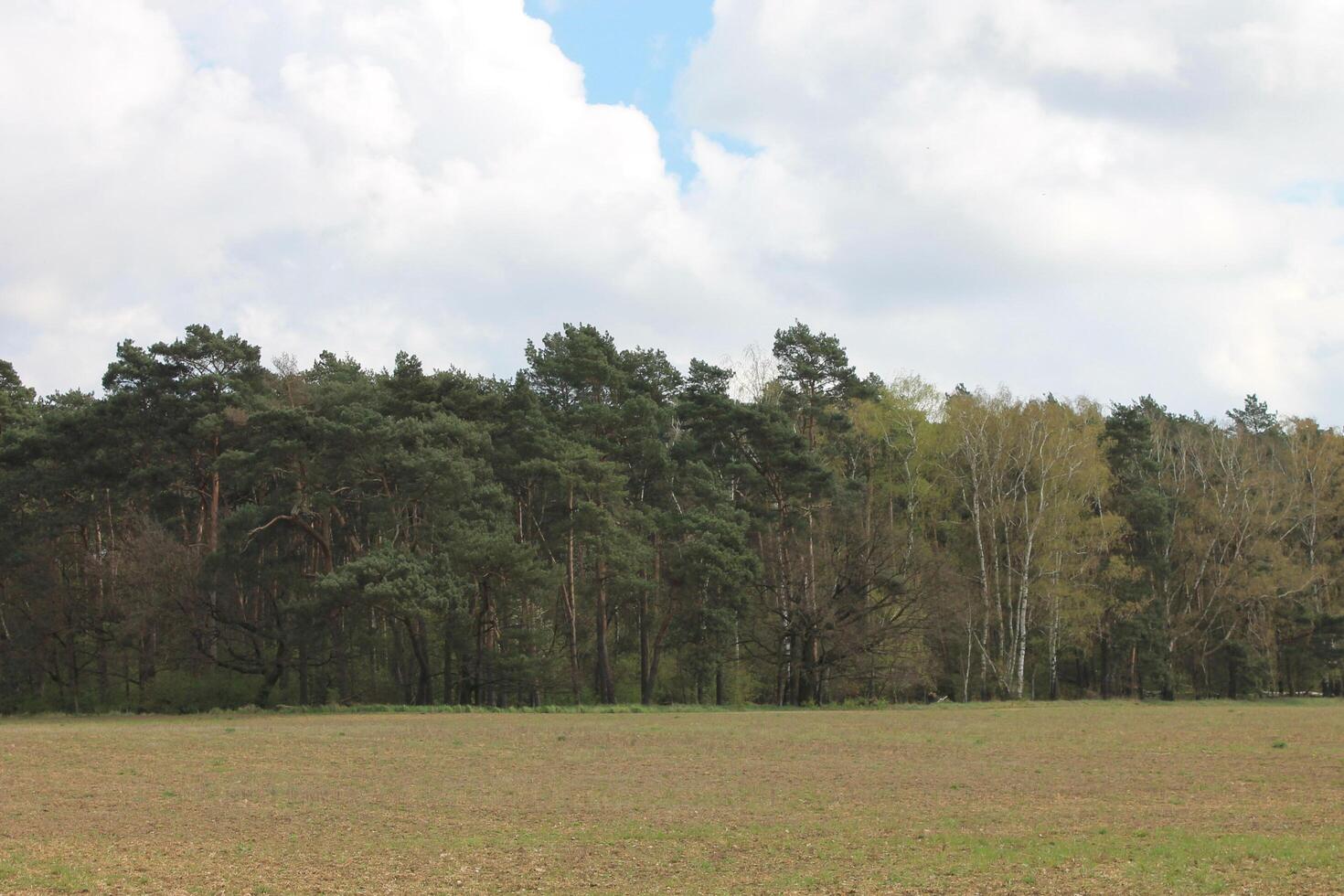 nature landscape photo