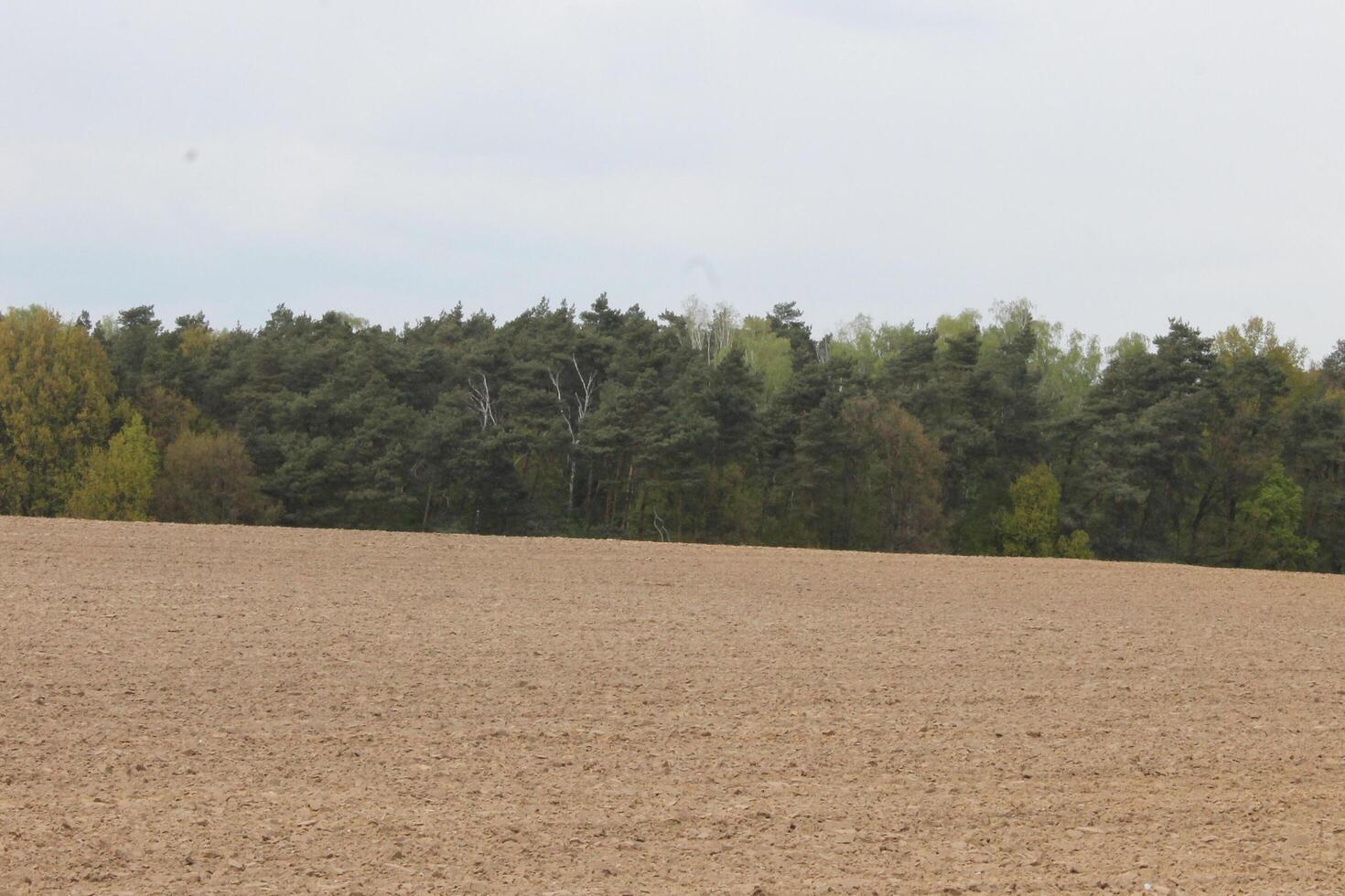 nature landscape photo