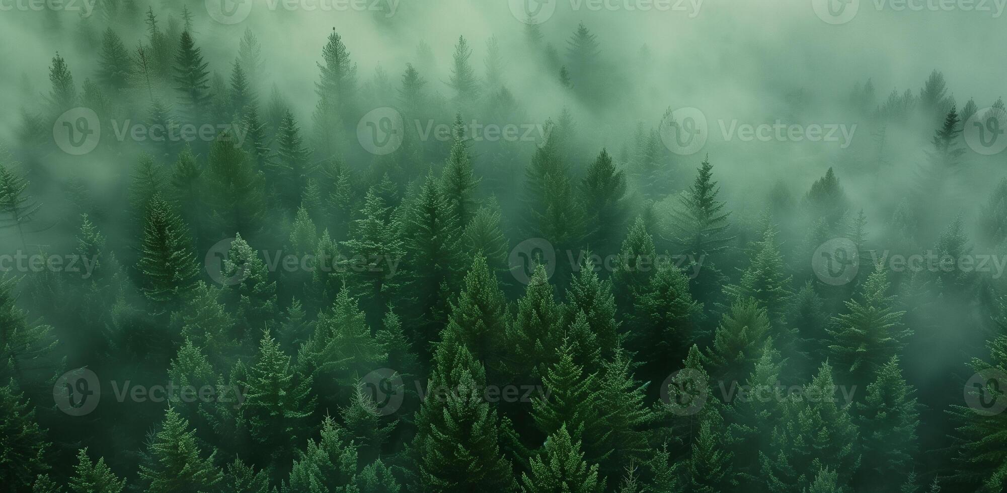 Misty landscape with fir forest in vintage retro style photo