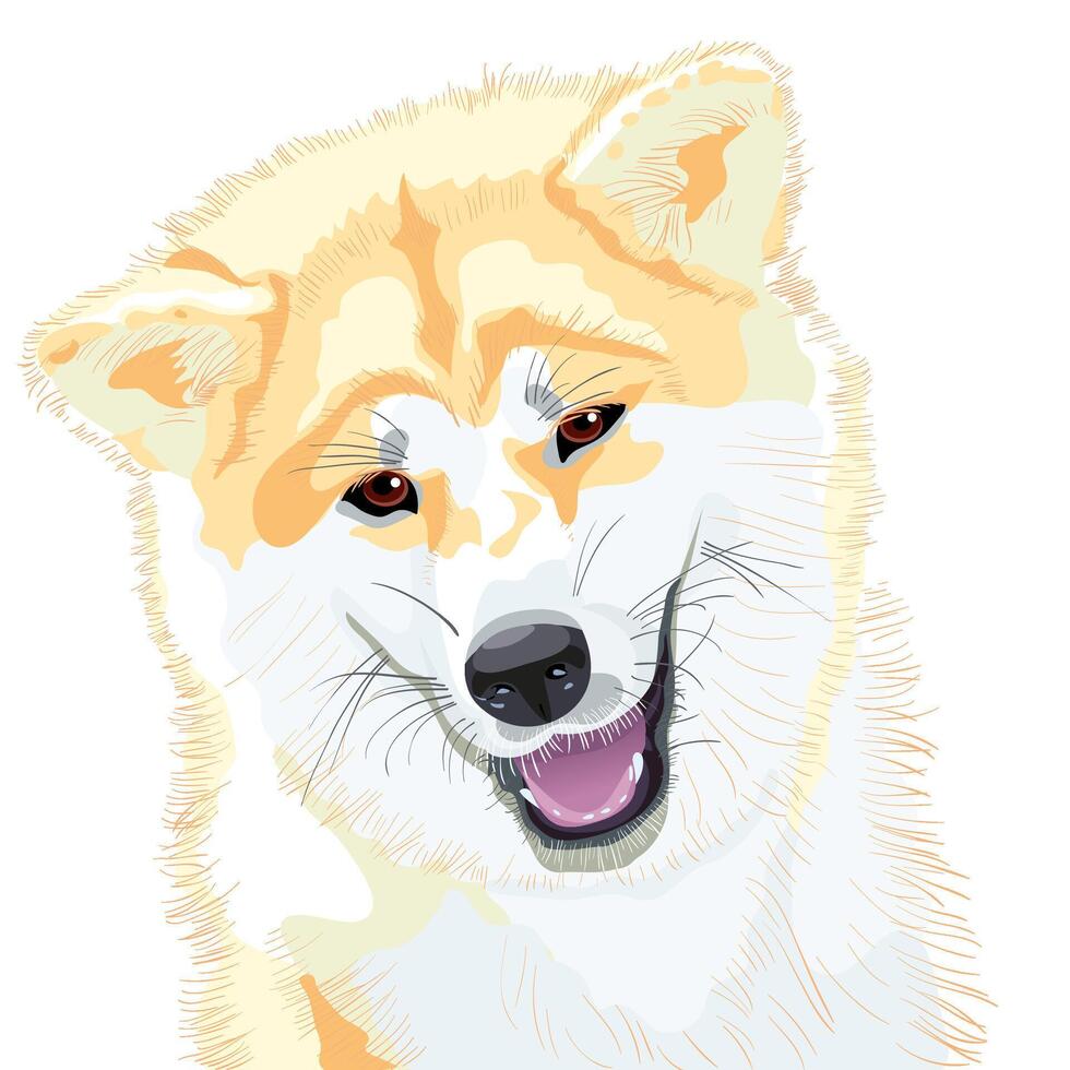 sketch dog Akita Inu Japanese breed smiles vector