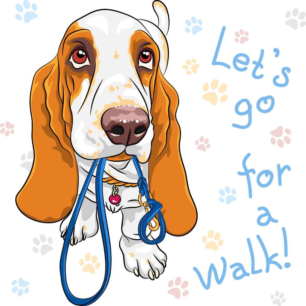baby dog Basset Hound breed vector