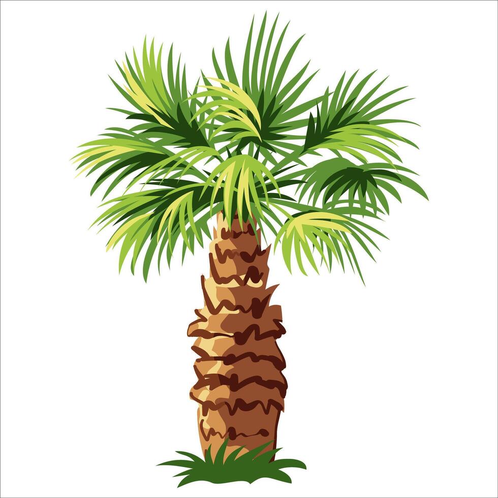 Palm tree isolated on white background vector