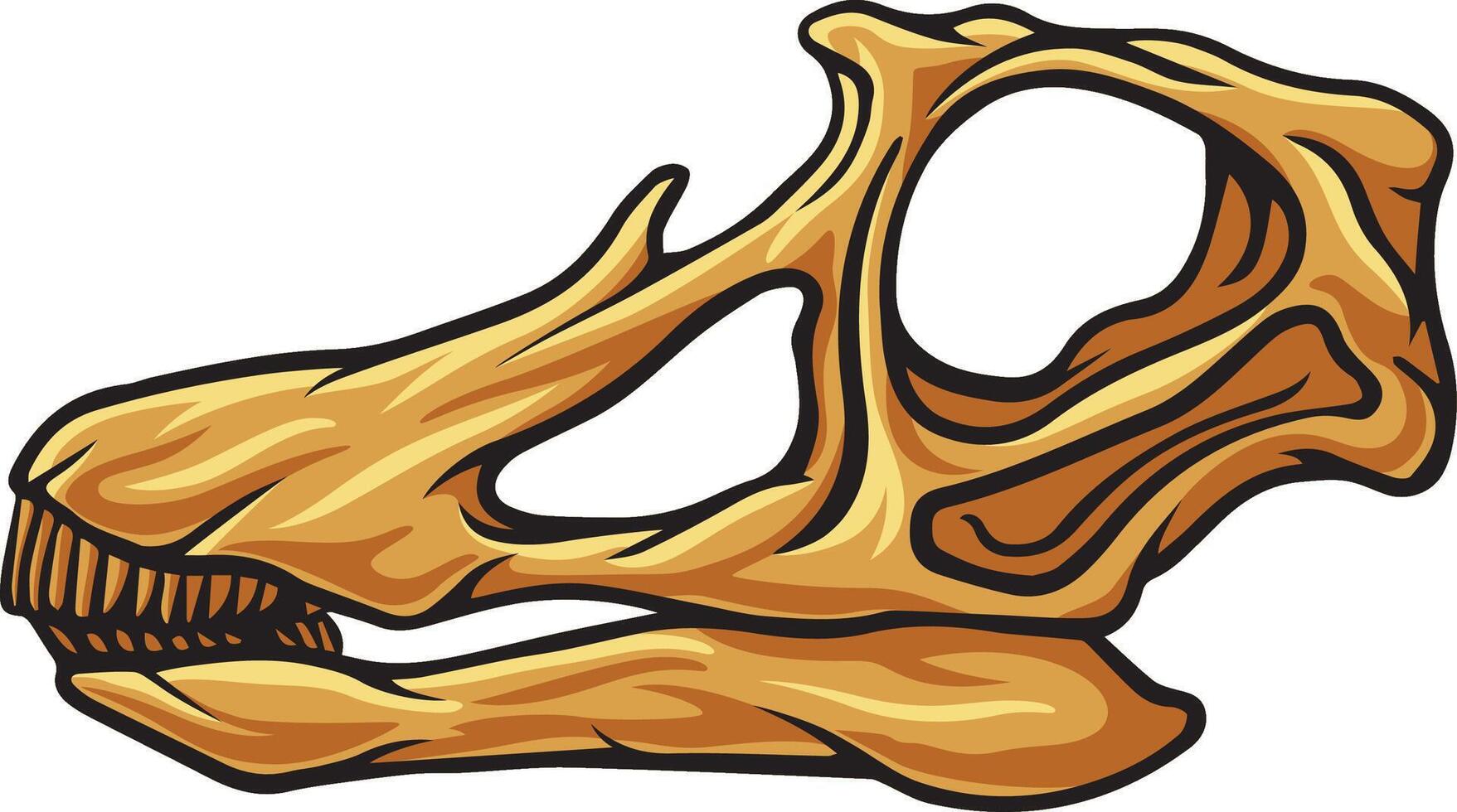 Apatosaurus dinosaur skull fossil illustration vector