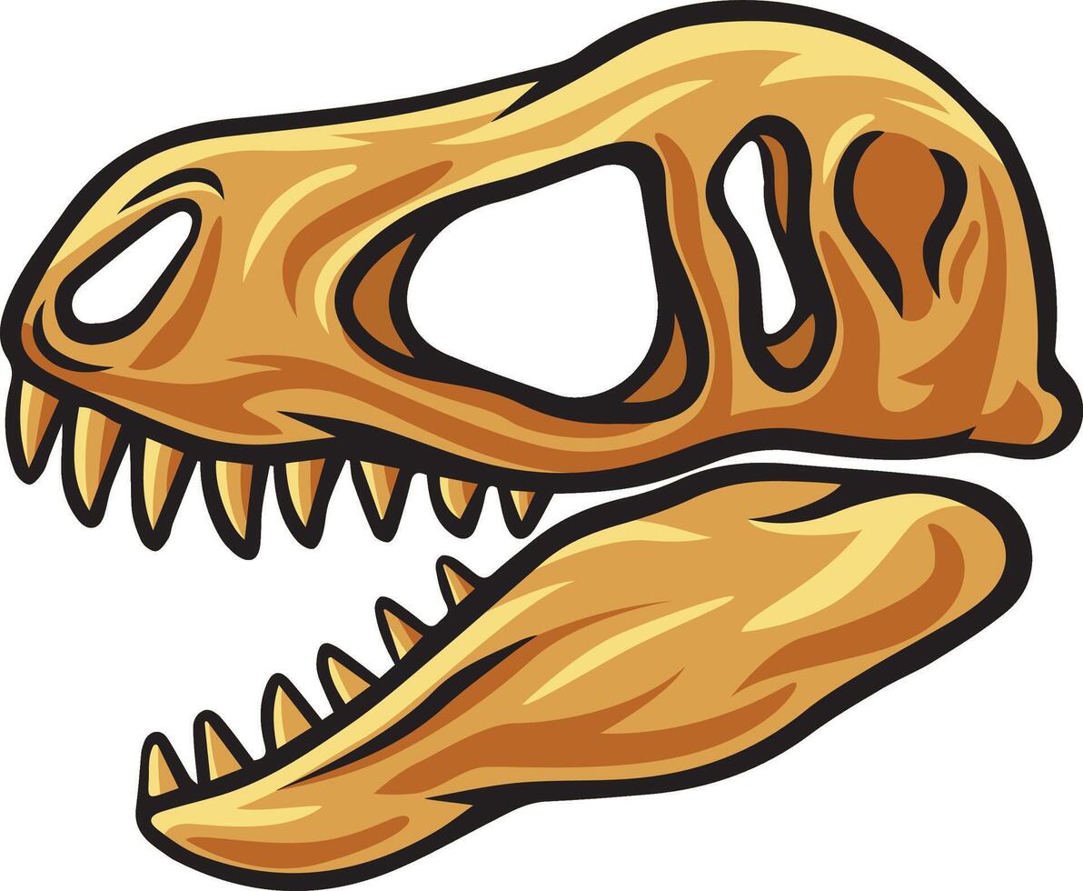 Tyrannosaurus dinosaur skull fossil illustration vector