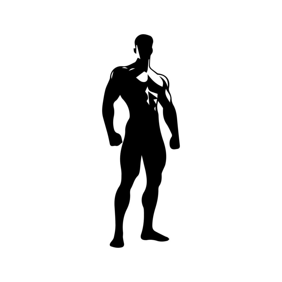 Strong man showing muscles silhouette. Muscular bodybuilder full length body vector