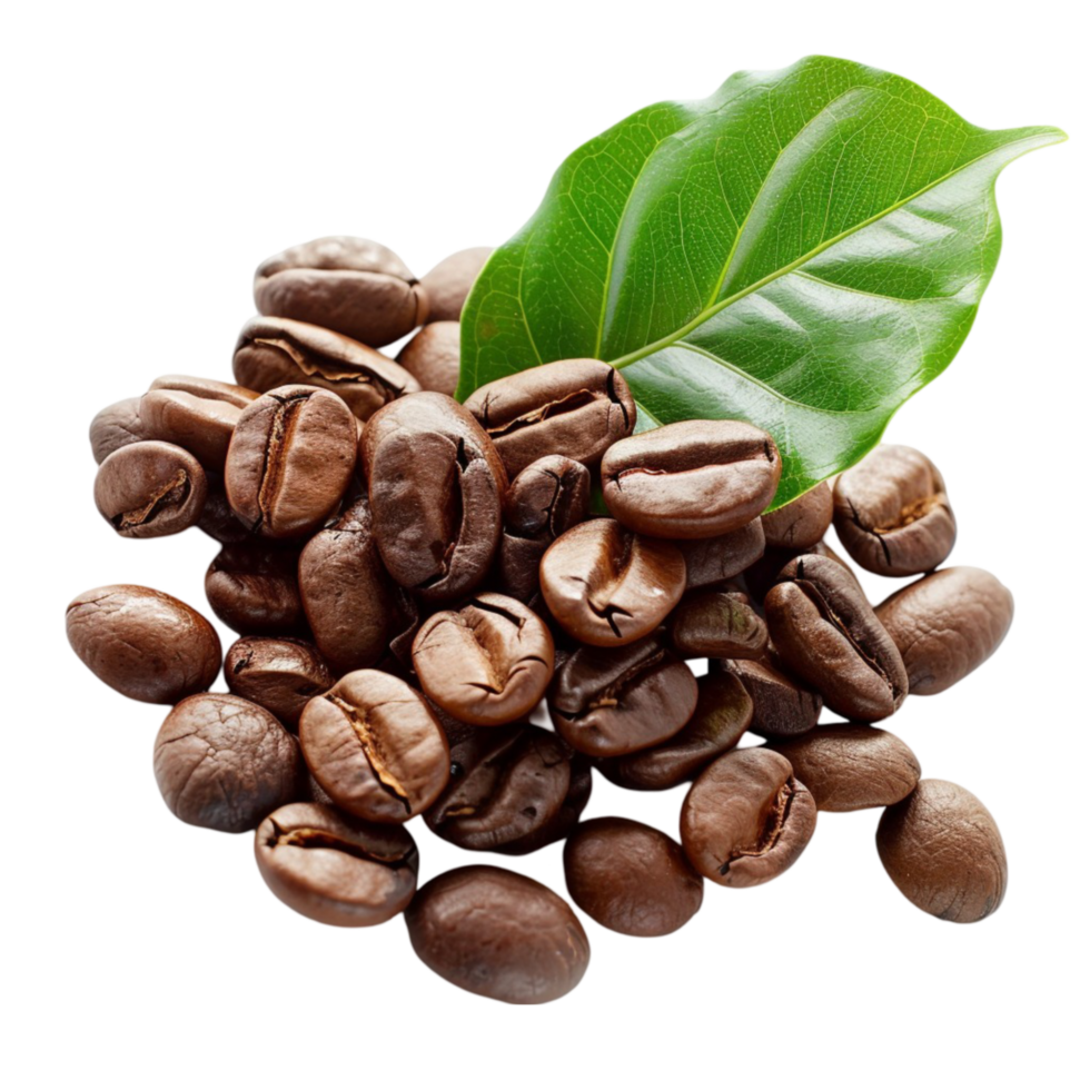 coffee beans with green leaf png