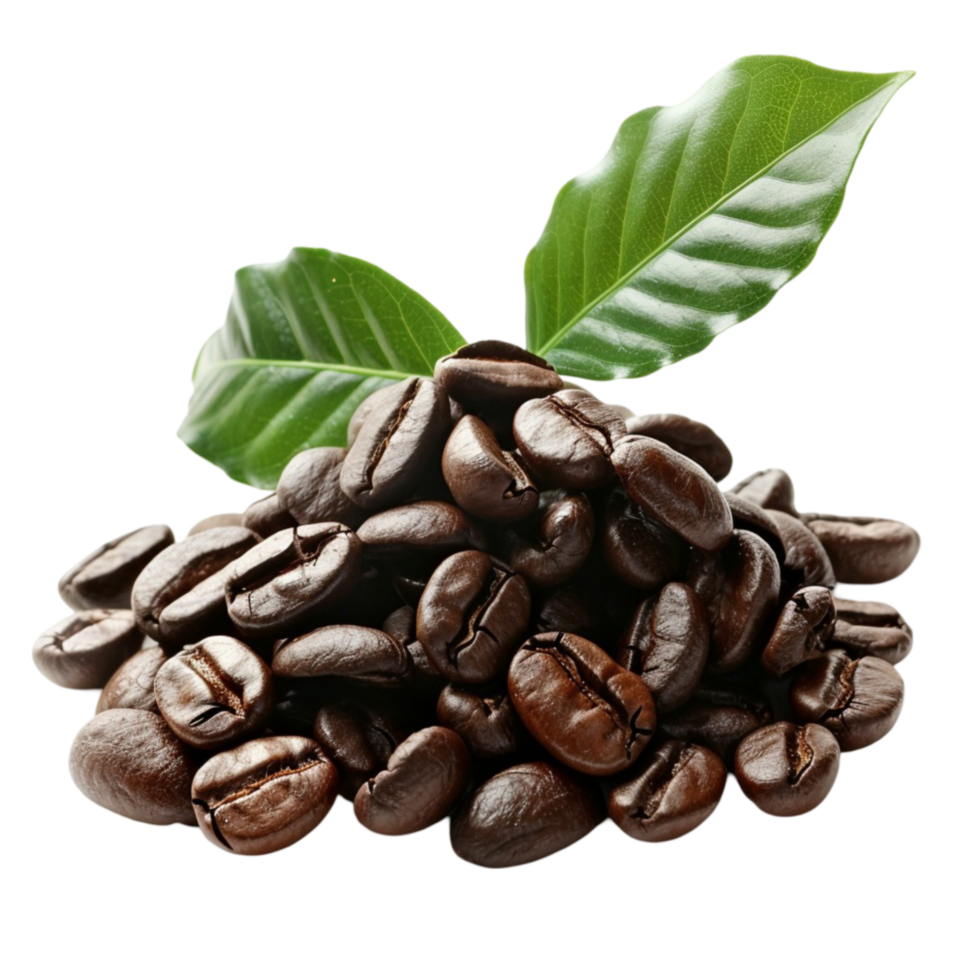 coffee beans with green leaves image png