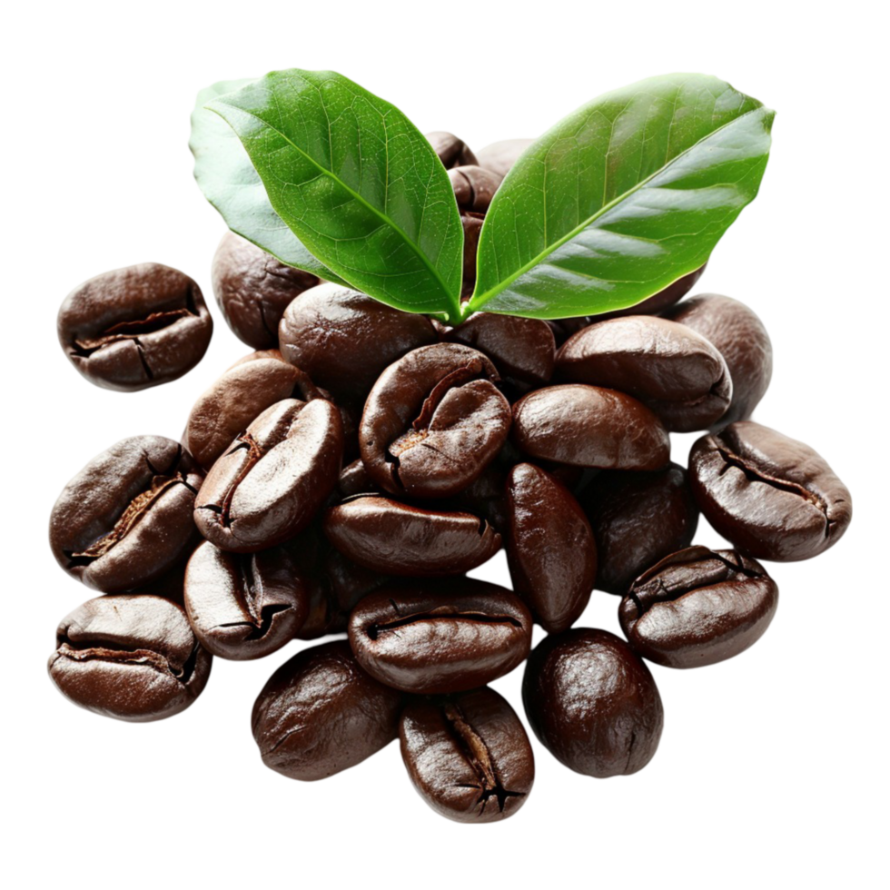 The coffee beans with green leaves png