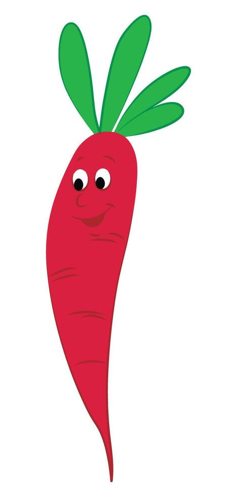 Carrot isolated on white background vector