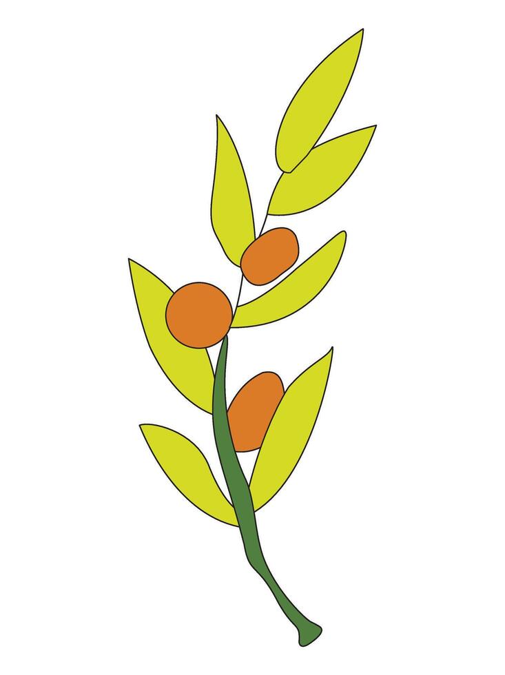 Olive branch and leaves vector
