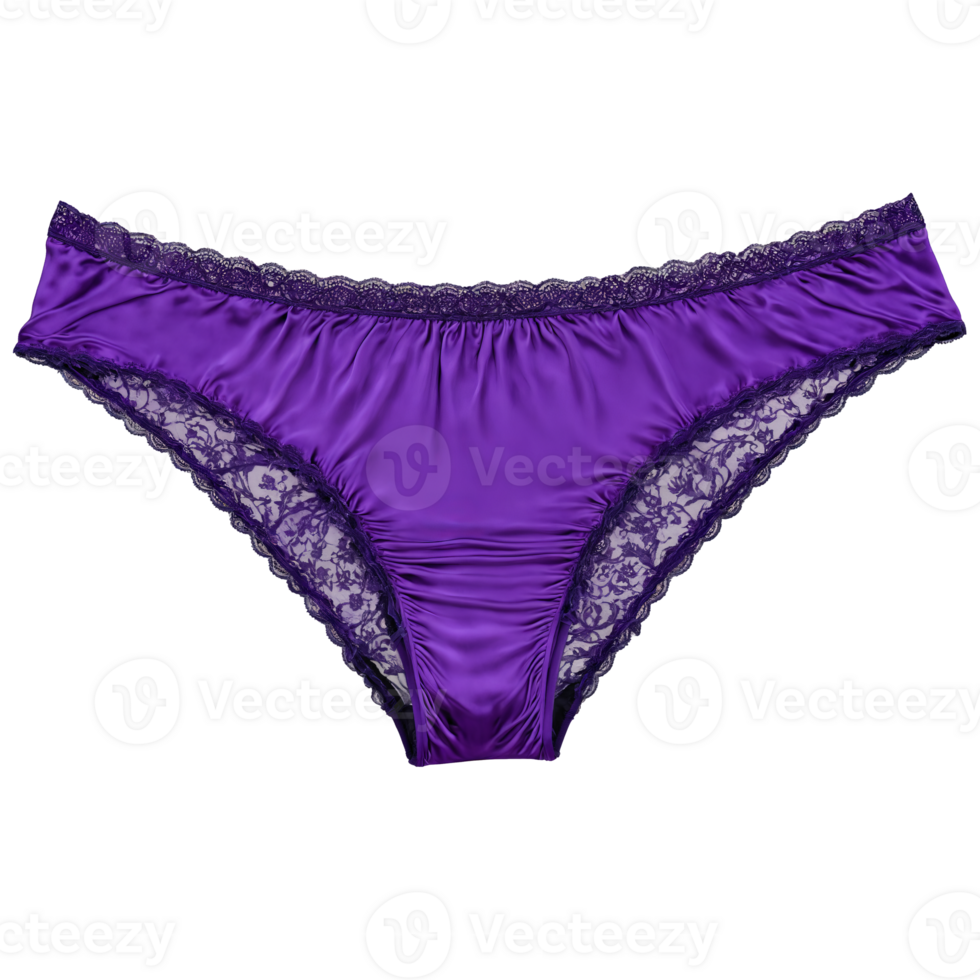 Purple Silk Underwear A pair of purple silk women s underwear with a rich png