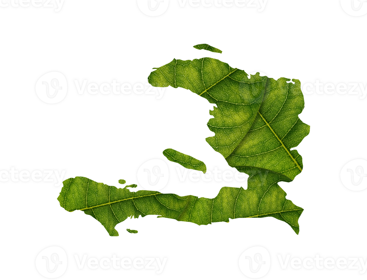 Haiti map made of green leaves ecology concept png