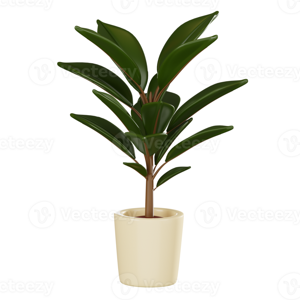 Modern Botanical Decor of Rubber Plant in Stylish Pot. 3D Render png