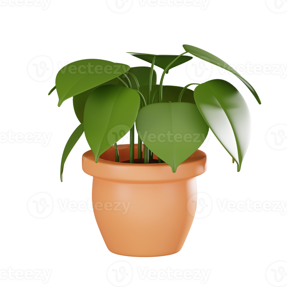 Peperomia Plant Pot Realistic for Indoor Gardening Enthusiasts. 3D Render png