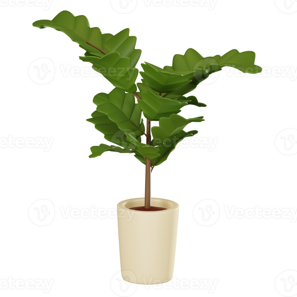 Elegant Greenery Fiddle Leaf Fig in Pot for Stylish Home Decor. 3D Render png