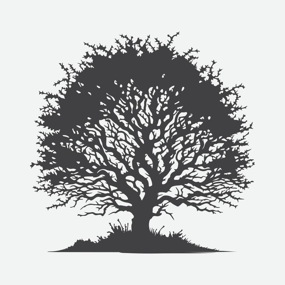 Print Captivating Blackthorn Tree Silhouette, A Timeless Natural Elegance vector