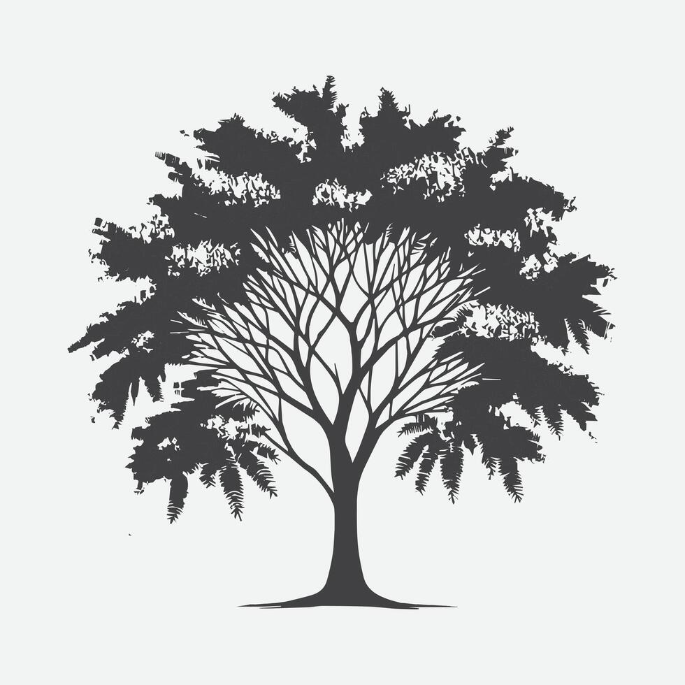 Print Enchanting Mimosa Tree Silhouette, A Perfect Blend of Elegance and Serenity vector