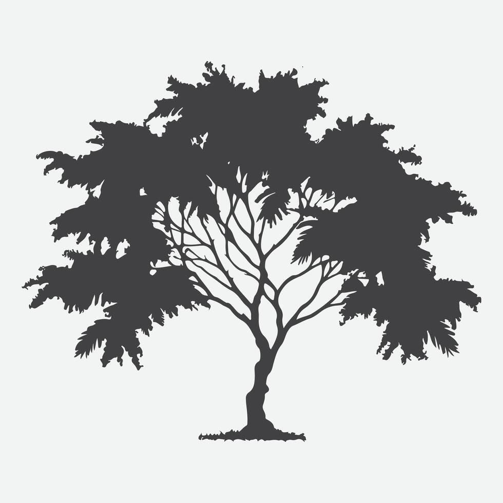 Print Enchanting Mimosa Tree Silhouette, A Perfect Blend of Elegance and Serenity vector