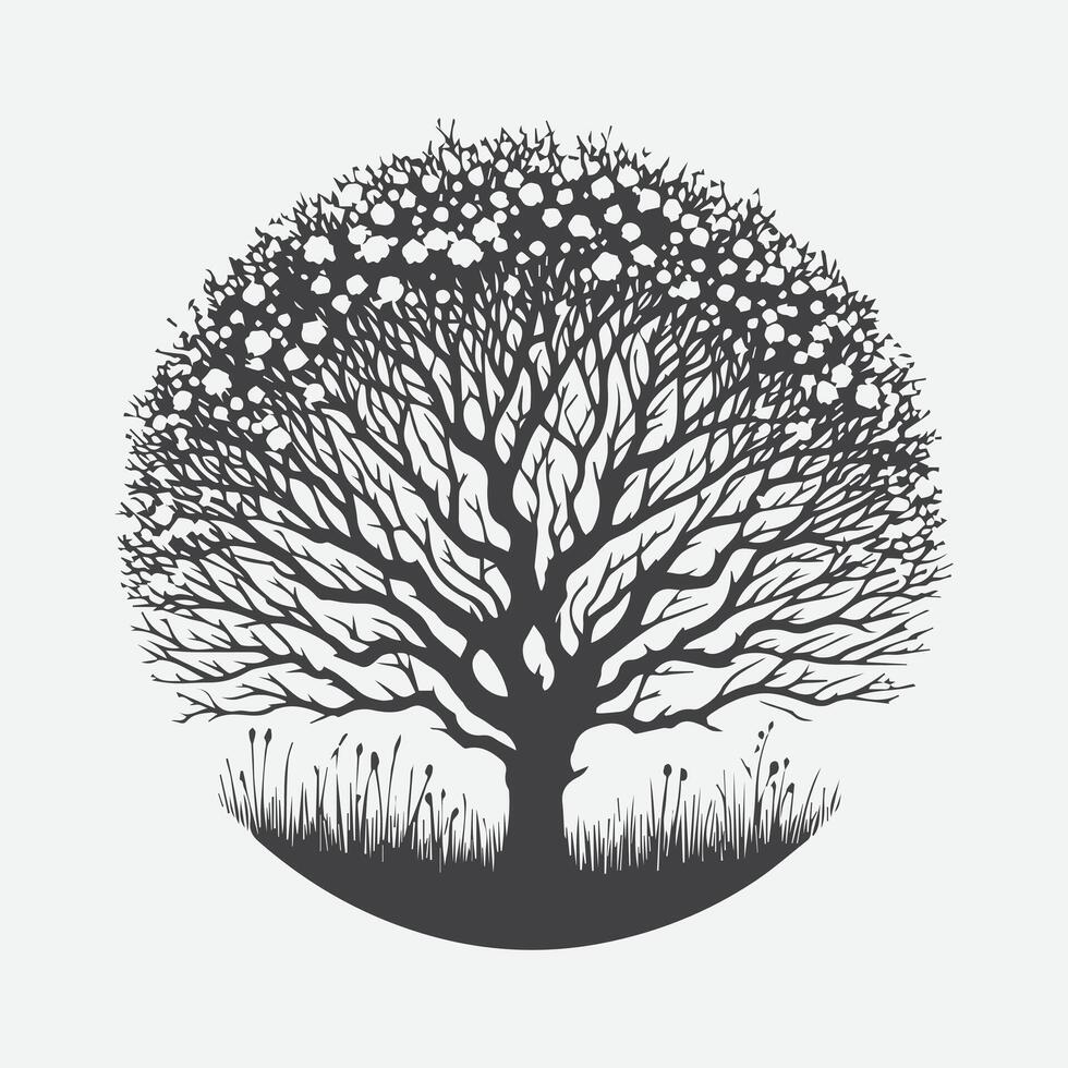 Print Captivating Blackthorn Tree Silhouette, A Timeless Natural Elegance vector