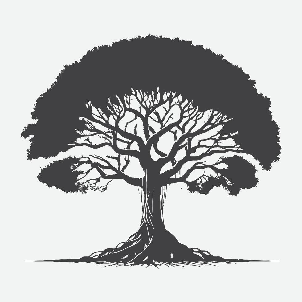 Print Majestic Banyan Tree Silhouette, Nature's Timeless Artwork vector