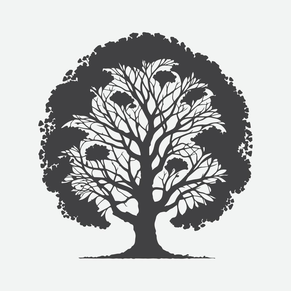 Print Majestic Ginkgo Tree Silhouette, Nature's Timeless Elegance vector