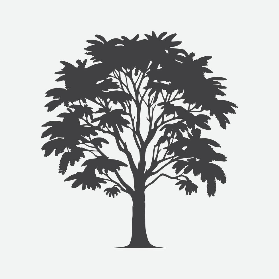 Print Enchanting Mimosa Tree Silhouette, A Perfect Blend of Elegance and Serenity vector
