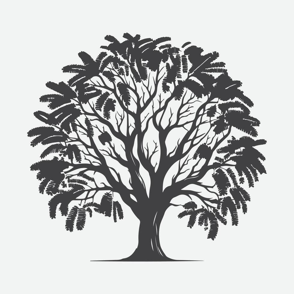 Print Enchanting Mimosa Tree Silhouette, A Perfect Blend of Elegance and Serenity vector