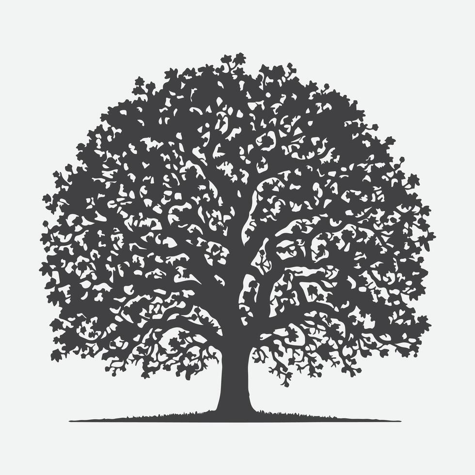 Print Majestic Pecan Tree Silhouette, Nature's Timeless Shadow vector