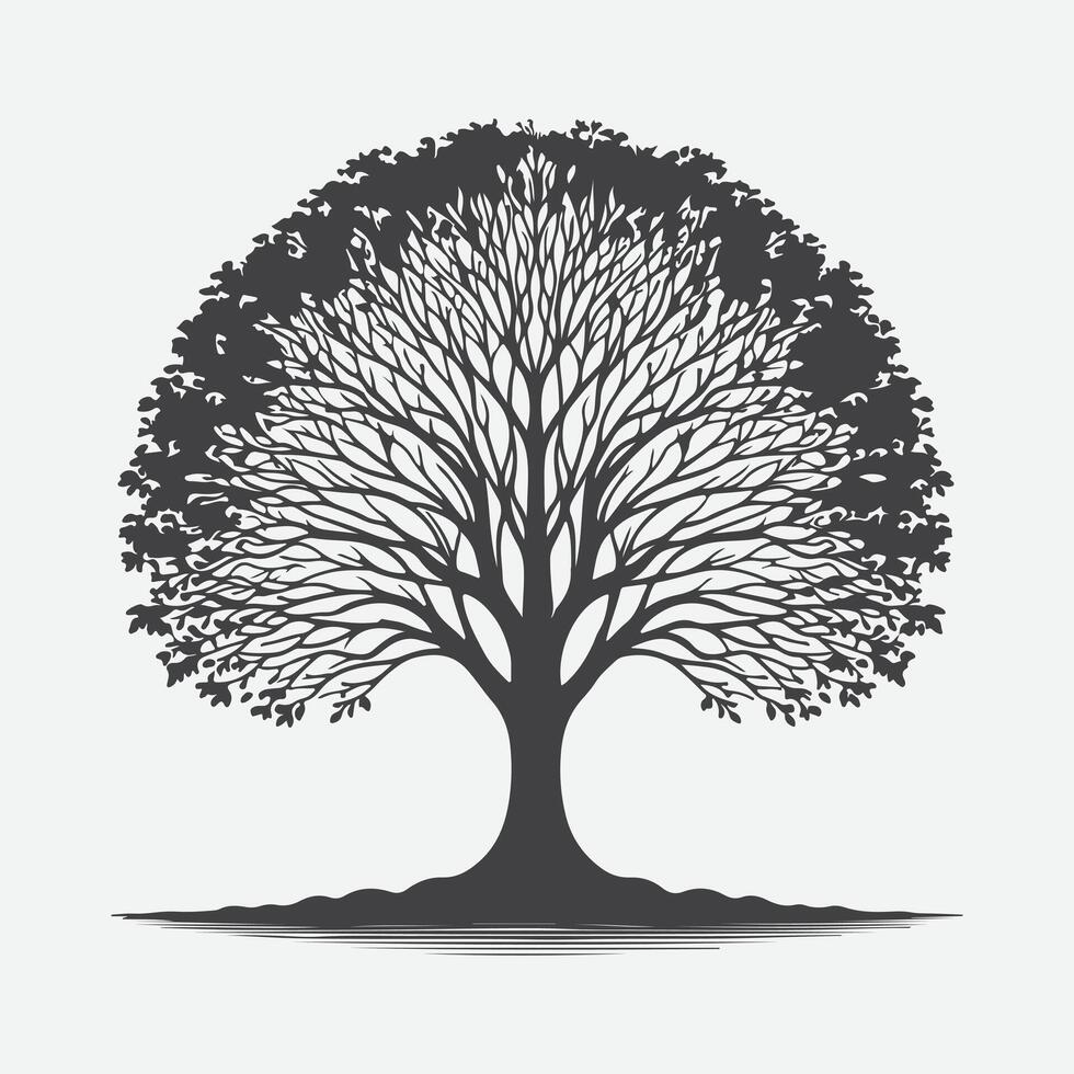 Elegant Silhouette of the Silverbell Tree, A Stunning Natural Masterpiece vector