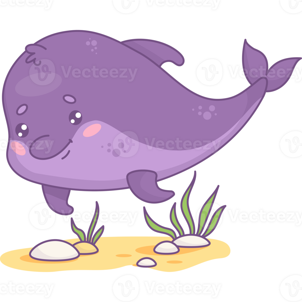 Cute cartoon dolphin png