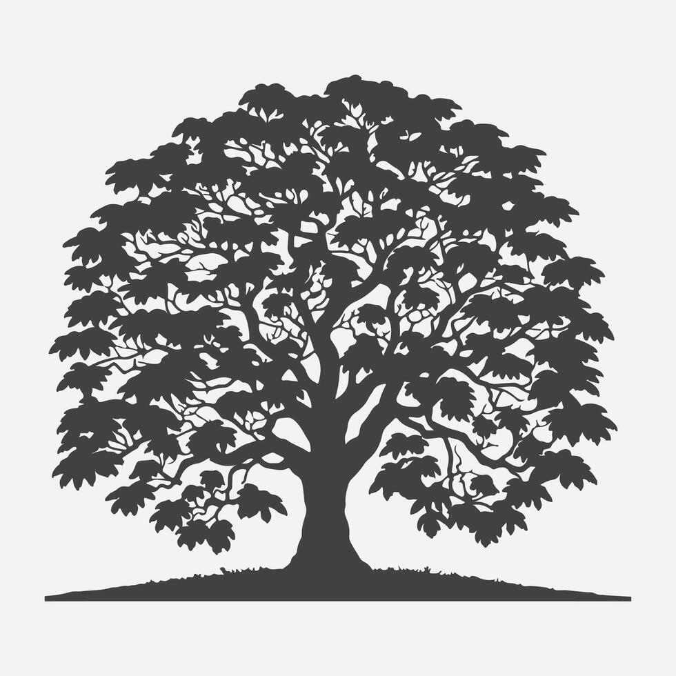 Print Majestic Catalpa Tree Silhouette, Nature's Intricate Shadow Art vector