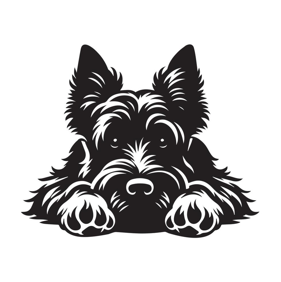 Scottish Terrier dog laying down Illustration in black and white vector