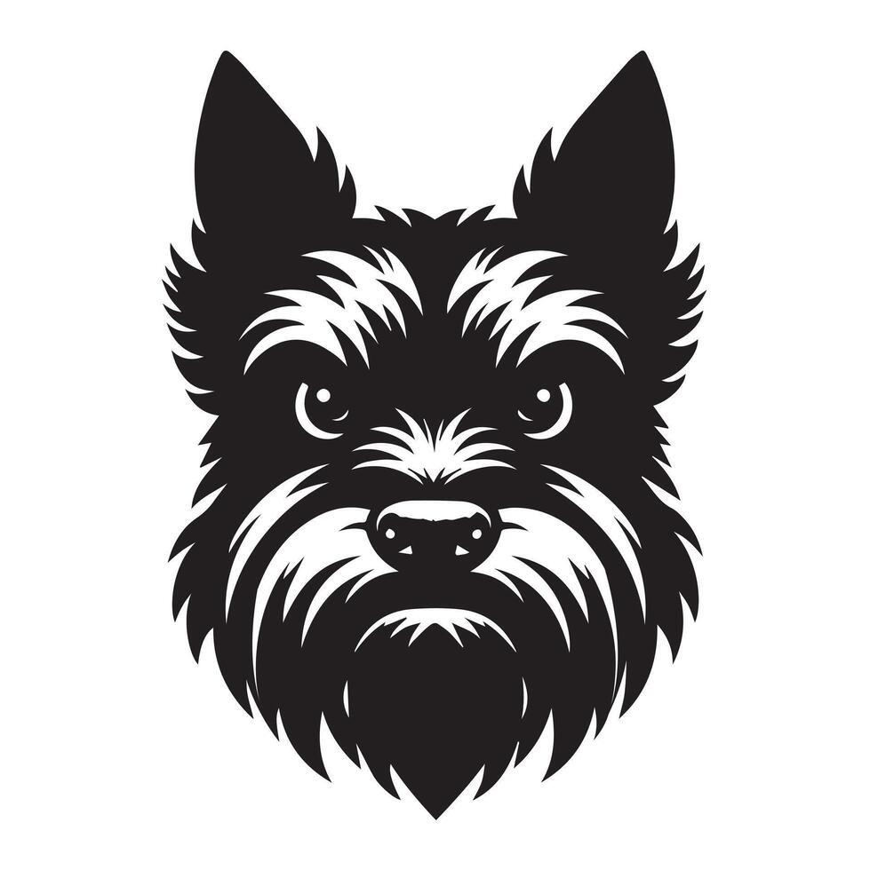 Angry Scottish Terrier Dog Face Illustration in black and white vector