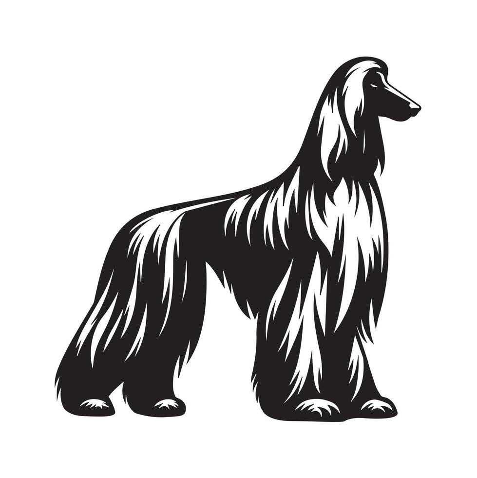 Protective Afghan Hound Illustration in black and white vector