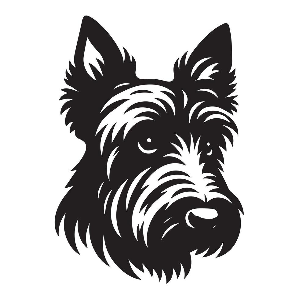 Sad Scottish Terrier Illustration in black and white vector
