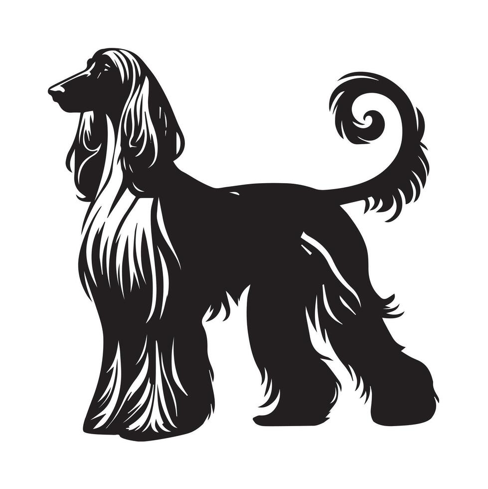 Dignified Afghan Hound Illustration in black and white vector
