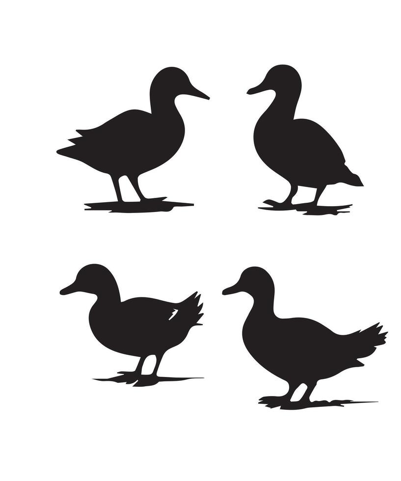 Lake Ducks Silhouette vector