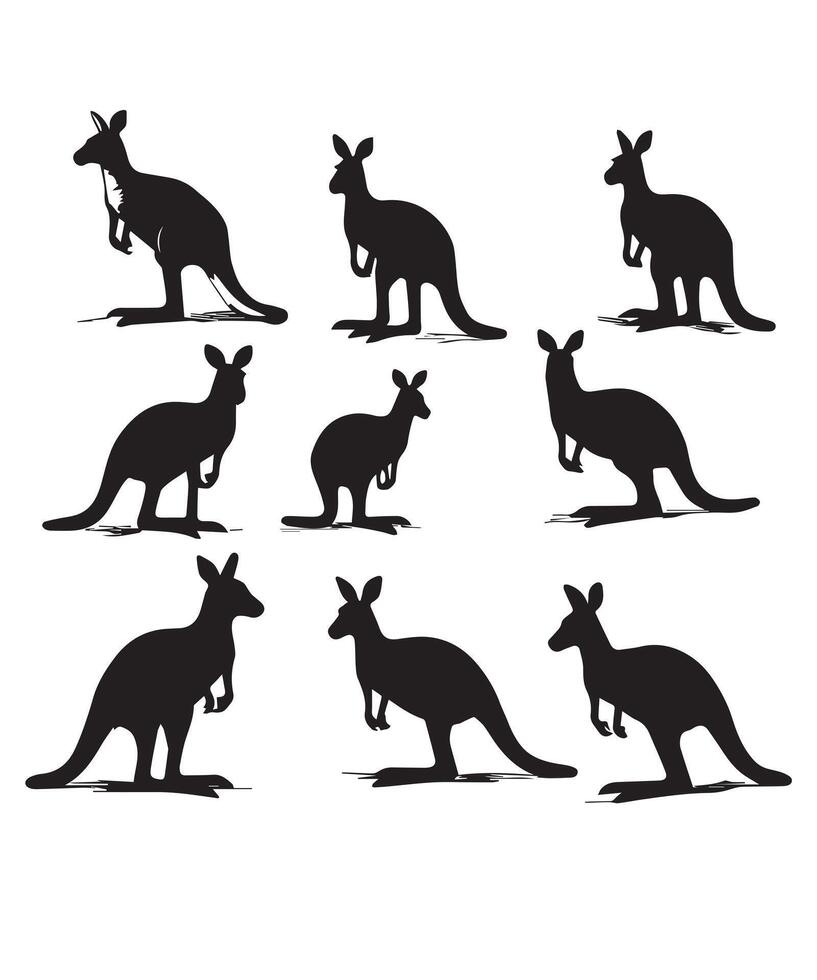 kangaroo with baby vector