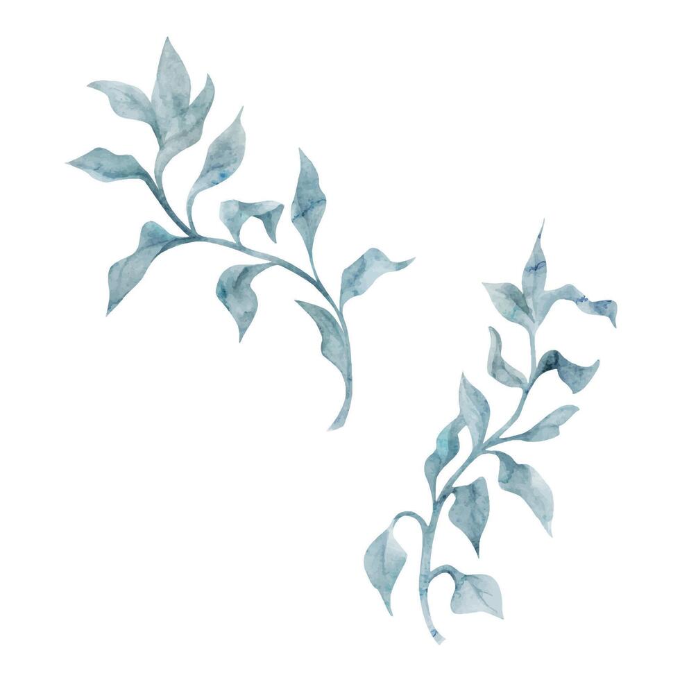 Watercolor and ink hand drawn marine life, sea ocean underwater creatures. fish, shells algae seaweed. Single object illustration, stylized, isolated on white. Zoo shop, aquarium, cosmetics, resort vector