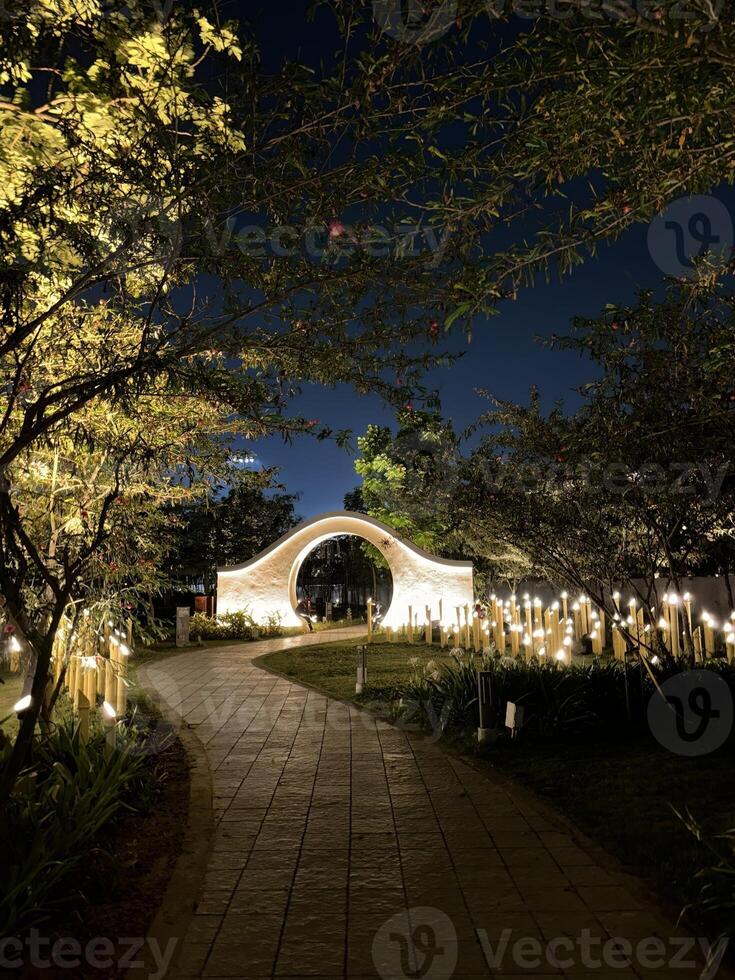 neture image on night mode photo