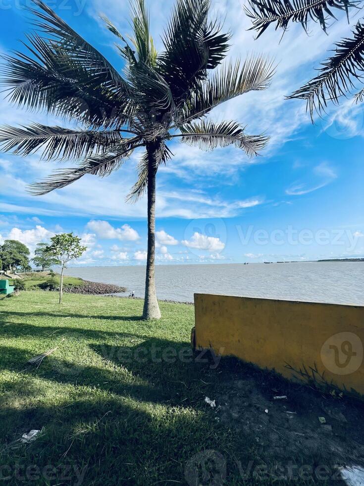atrective neture image with high sharpness image photo