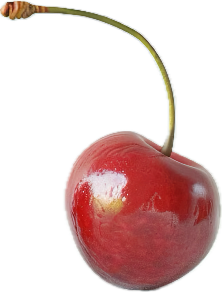 Close-up of Fresh Red Cherry with Stem png