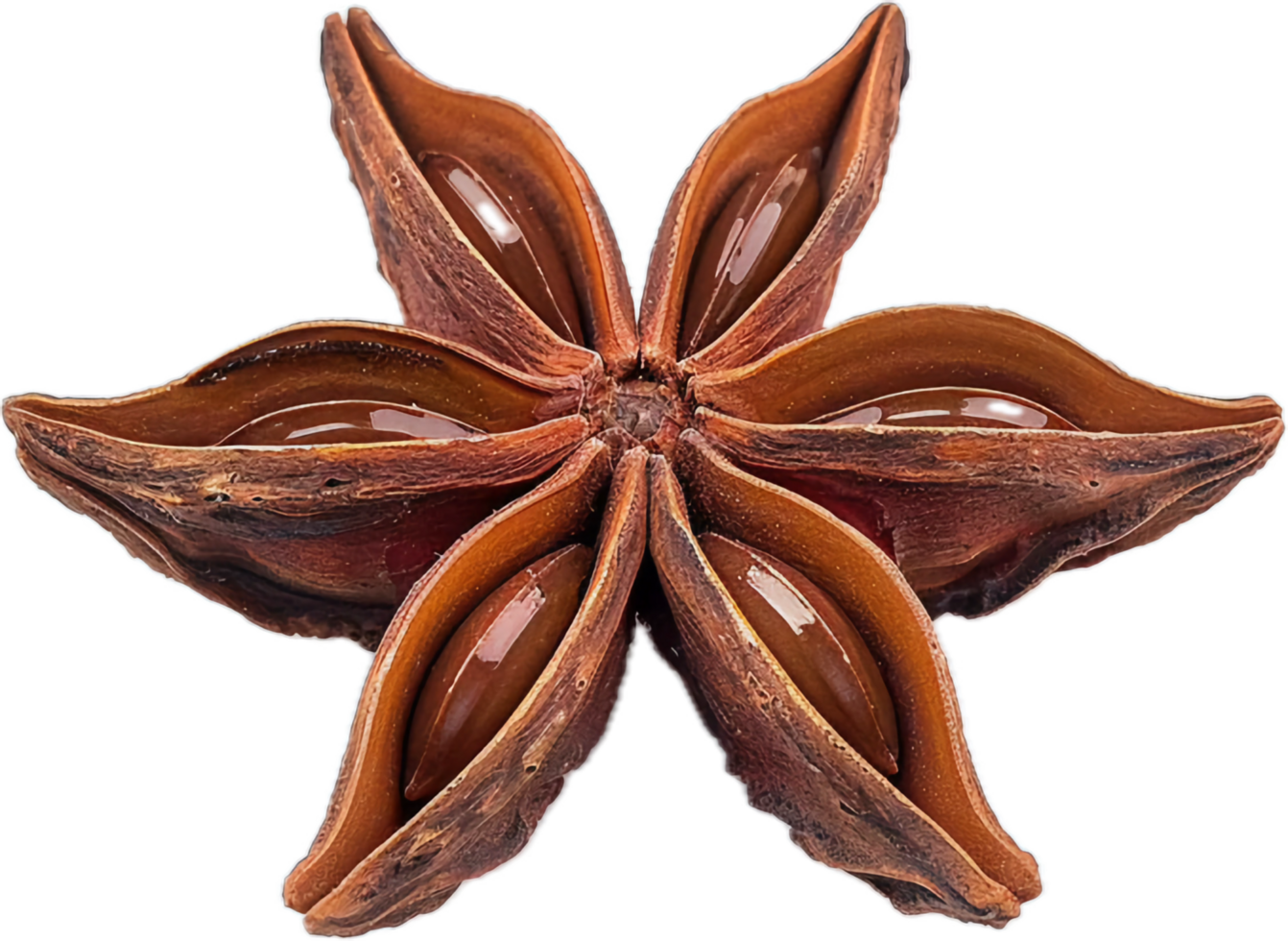 Close-up of Star Anise Spice. png