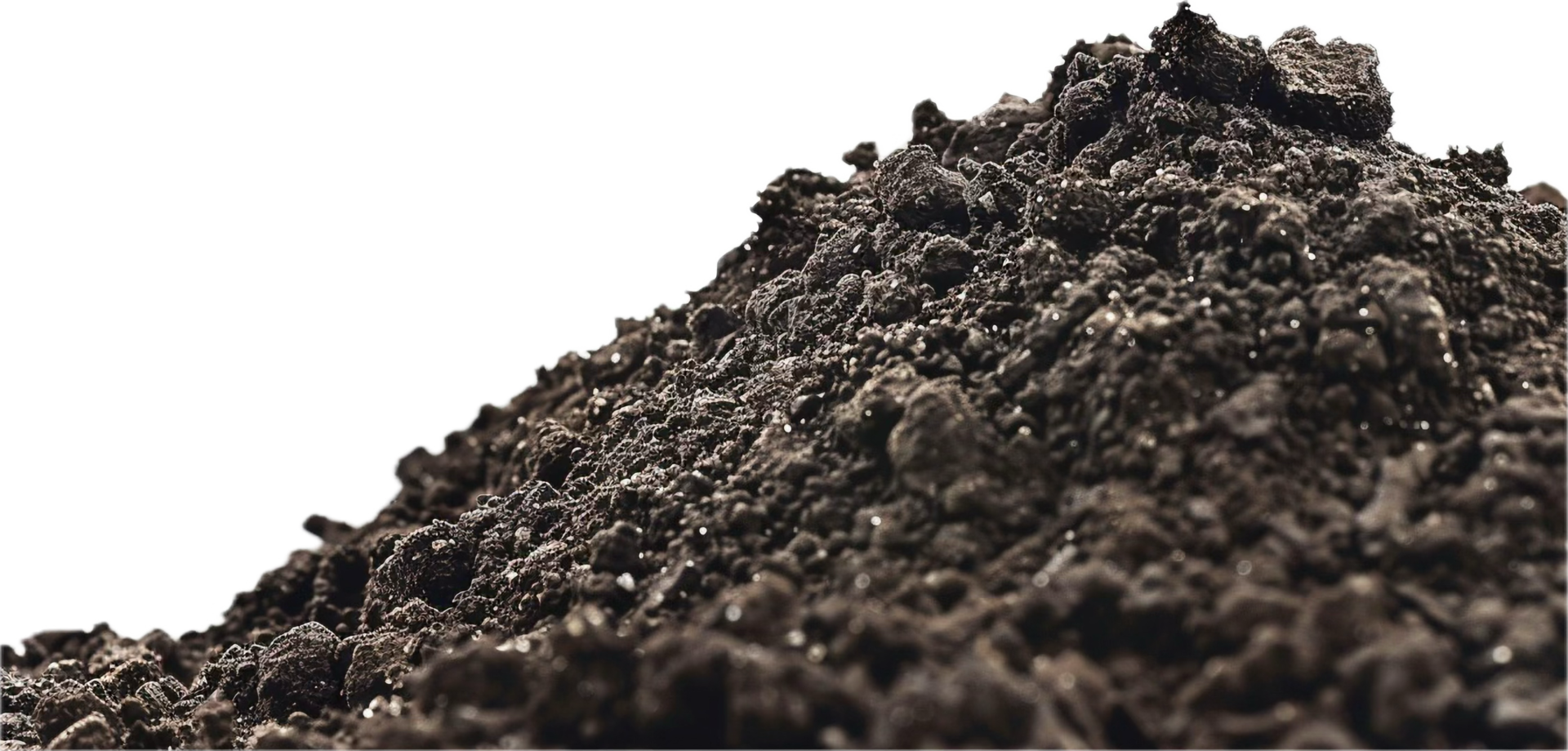 Close-Up of Dark Rich Soil Texture. png