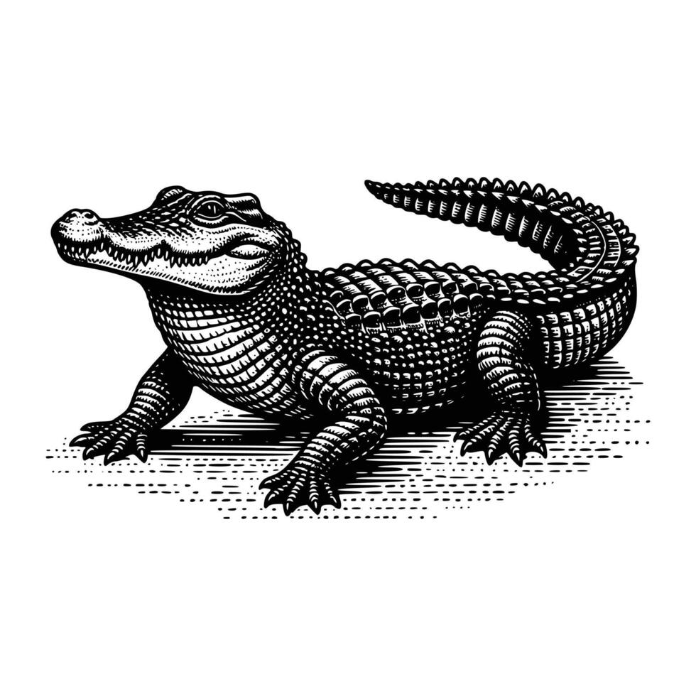 Free crocodile illustration vector