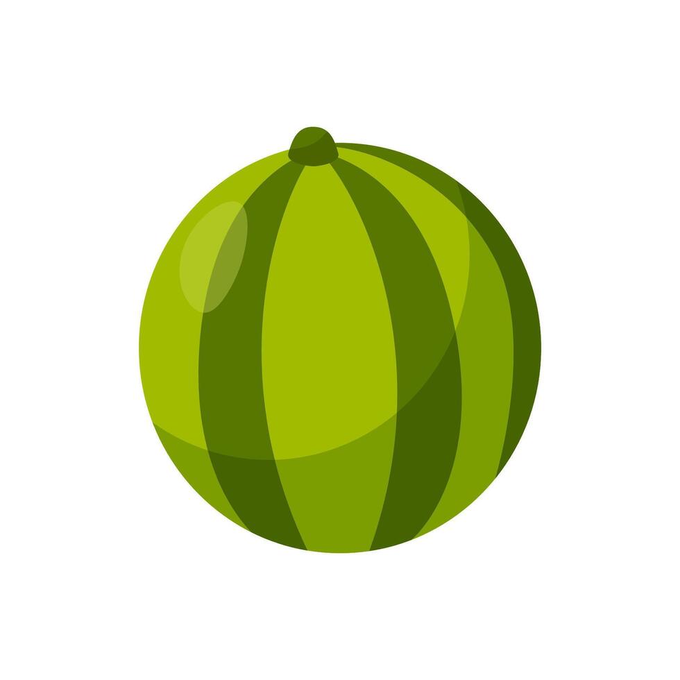 Cartoon watermelon illustration. Whole ripe watermelon. Healthy berry vector