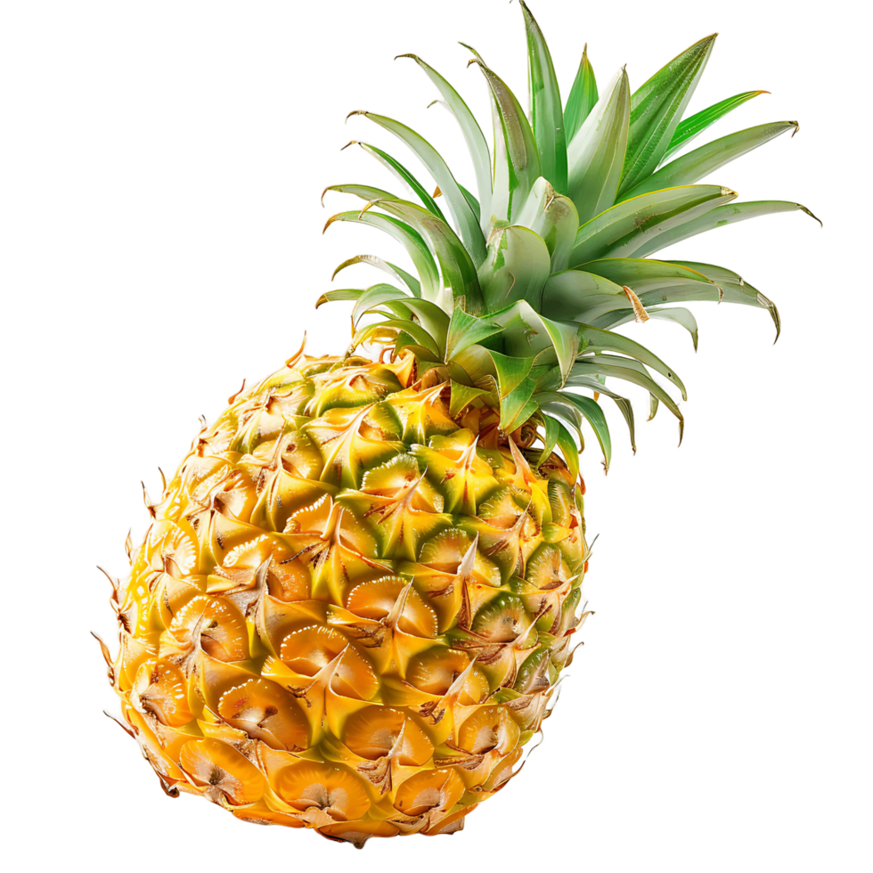 Tropical Pineapple Images for Your Creative Projects png