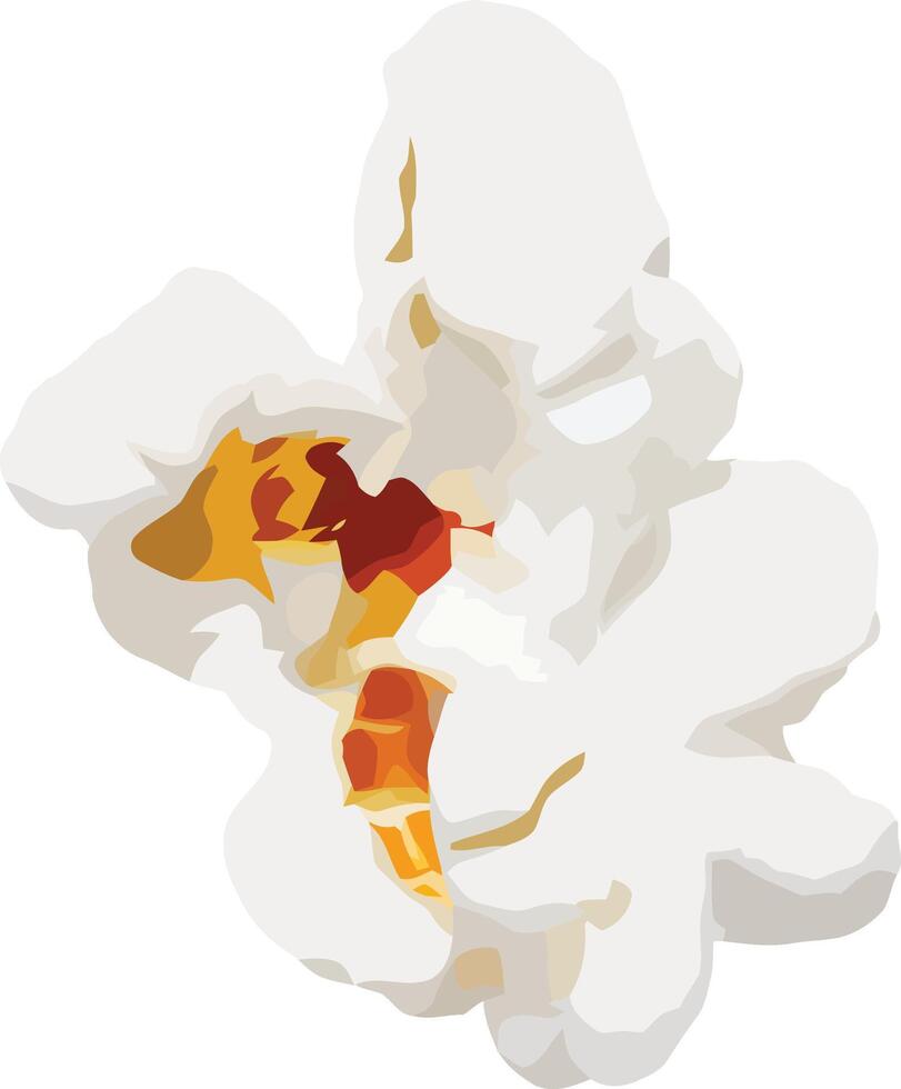 Popcorn illustration on white background vector
